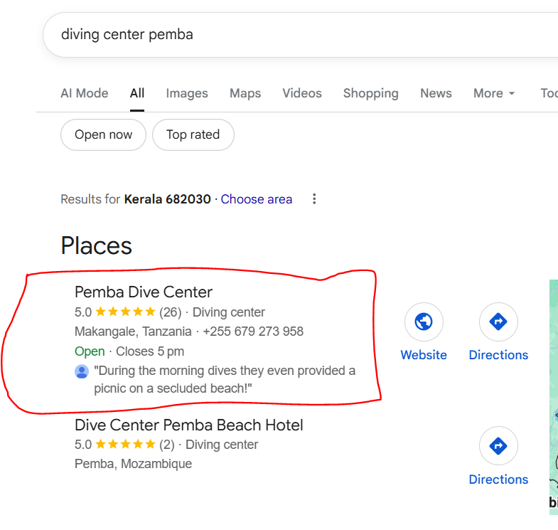 Google Maps Ranking Result 2